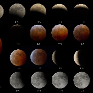 <font class="tempImageTitleThumbText">LUNAR ECLIPSE</font><br>Daisuke Tomiyasu<br>Oct 8 3:45pm<br>Higashinada-ku, Kobe, Hyogo, JA
