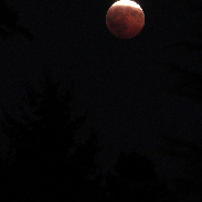 <font class="tempImageTitleThumbText">Lunar Eclipse</font><br>Damon Taylor<br>Aug 28 6:37am<br>Burien, WA