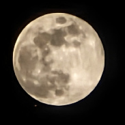 <font class="tempImageTitleThumbText">Mars Occultation By The Moon</font><br>Daniel Frohman<br>Jun 22 7:20pm<br>Connecticut 