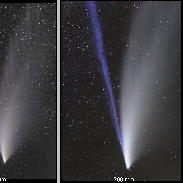 <font class="tempImageTitleThumbText">Comet Neowise With Different Lenses</font><br>Daniele Gasparri<br>Jul 21 1:39pm<br>Umbria, Italy