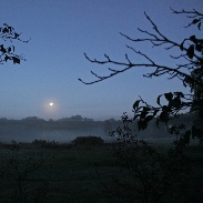 <font class="tempImageTitleThumbText">Eclipse Moons Reapers</font><br>Darek Dorosz<br>Sep 28 11:19am<br>Smardzewice, Poland