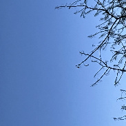 <font class="tempImageTitleThumbText">Jupiter Venus </font><br>Daryl Ross<br>Mar 4 6:19pm<br>Camariilo california 