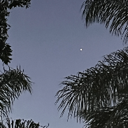 <font class="tempImageTitleThumbText">Moon Jupiter Venus</font><br>Daryl Ross<br>Feb 23 3:18am<br>Camariilo california