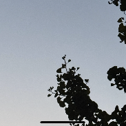 <font class="tempImageTitleThumbText">Venus Jupiter </font><br>Daryl Ross<br>Aug 12 4:26pm<br>Camarillo California 