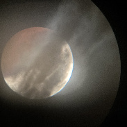 <font class="tempImageTitleThumbText">Eclipse Moon </font><br>Daryl Ross<br>Aug 28 5:54am<br>Camarillo California 