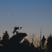 <font class="tempImageTitleThumbText">Quasi-conjunction Of Venus And Mercury</font><br>Dave Chapman<br>Jan 12 3:28pm<br>Dartmouth, Nova Scotia, Canada