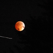 <font class="tempImageTitleThumbText">Lunar Eclipse</font><br>Dave Keyser<br>Oct 9 1:41am<br>Wauconda, IL