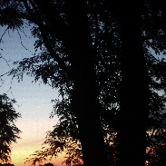 <font class="tempImageTitleThumbText">Venus-Jupiter Conjunction</font><br>Dave Riggle<br>Aug 21 3:53am<br>Canton, OH, USA