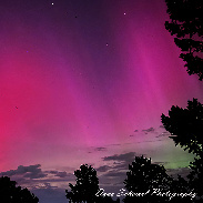 <font class="tempImageTitleThumbText">Auroras</font><br>Dave Schemel<br>Oct 11 2:53am<br>Coal Creek Canyon, Colorado