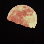 <font class="tempImageTitleThumbText">Blue Moon Rising Over Catalina Mountains</font><br>David Abbou<br>May 31 3:29pm<br>Oro Valley, AZ