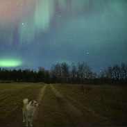 <font class="tempImageTitleThumbText">Aurora</font><br>David Bainbridge<br>Nov 12 3:51am<br>Minnesota, USA