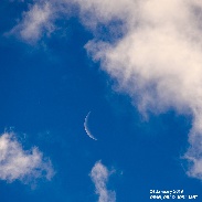 <font class="tempImageTitleThumbText">Venus And Moon Conjunction</font><br>David Blanchard<br>Jan 31 11:21pm<br>Flagstaff, AZ