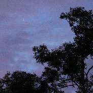 <font class="tempImageTitleThumbText">Jupiter/Venus Conjunction</font><br>David E  Thomas<br>Aug 12 1:59pm<br>Lynchburg, VA, USA