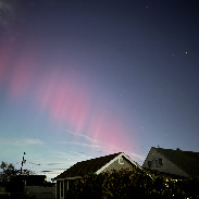<font class="tempImageTitleThumbText">Auroras</font><br>David Froehlich<br>Nov 12 4:54am<br>Levittown, PA, USA
