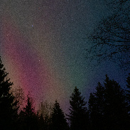 <font class="tempImageTitleThumbText">Auroras</font><br>David Lynn<br>Nov 12 4:23am<br>Edmonton Alberta