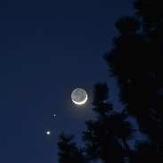<font class="tempImageTitleThumbText">Moon, Venus, And Mars Conjuction</font><br>David P Smoyer<br>Feb 21 3:43am<br>Tahoe City, CA