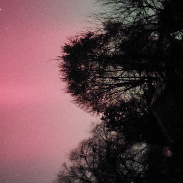 <font class="tempImageTitleThumbText">Auroras</font><br>David Pluard<br>Nov 12 3:47am<br>Cedar Lake, Indiana