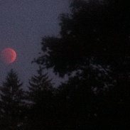 <font class="tempImageTitleThumbText">October Lunar Eclipse</font><br>David Quinn<br>Oct 8 6:17pm<br>Acton Ontario Canada