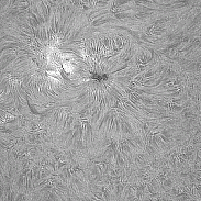 <font class="tempImageTitleThumbText">AR4444+7</font><br>David Wilson<br>May 27 10:23am<br>Inverness, Scotland