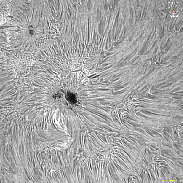 <font class="tempImageTitleThumbText">AR4446</font><br>David Wilson<br>May 29 12:18pm<br>Inverness, Scotland