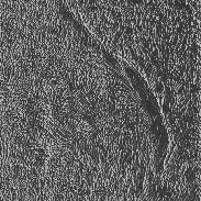 <font class="tempImageTitleThumbText">3D Chromosphere</font><br>David Wilson<br>May 31 12:38pm<br>Inverness, Scotland