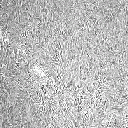 <font class="tempImageTitleThumbText">AR4473,2</font><br>David Wilson<br>Jun 22 8:27am<br>Inverness, Scotland