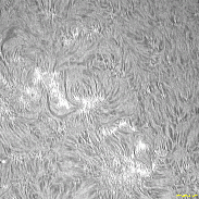 <font class="tempImageTitleThumbText">AR4475</font><br>David Wilson<br>Jun 24 7:09pm<br>Inverness, Scotland
