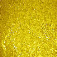 <font class="tempImageTitleThumbText">New Sunspot</font><br>David Wilson<br>Jun 25 8:05am<br>Inverness, Scotland