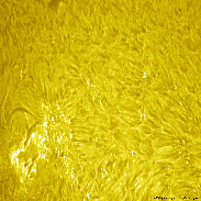 <font class="tempImageTitleThumbText">AR4478</font><br>David Wilson<br>Jun 25 10:42am<br>Inverness, Scotland