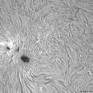 <font class="tempImageTitleThumbText">AR4478</font><br>David Wilson<br>Jun 27 2:05pm<br>Inverness, Scotland