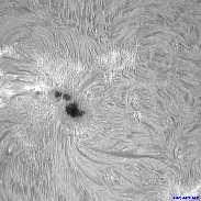 <font class="tempImageTitleThumbText">AR4478</font><br>David Wilson<br>Jun 29 10:43am<br>Inverness, Scotland