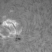 <font class="tempImageTitleThumbText">AR4479</font><br>David Wilson<br>Jun 28 9:03pm<br>Inverness, Scotland