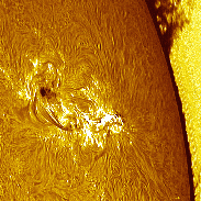 <font class="tempImageTitleThumbText">AR4479</font><br>David Wilson<br>Jul 3 7:10pm<br>Inverness, Scotland