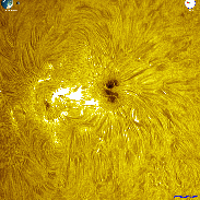 <font class="tempImageTitleThumbText">AR4482 Flaring</font><br>David Wilson<br>Jul 8 7:45pm<br>Inverness, Scotland