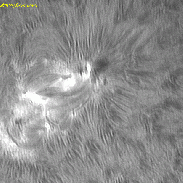 <font class="tempImageTitleThumbText">AR4485</font><br>David Wilson<br>Jul 9 8:10am<br>Inverness, Scotland