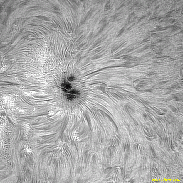 <font class="tempImageTitleThumbText">AR4482</font><br>David Wilson<br>Jul 9 7:07pm<br>Inverness, Scotland