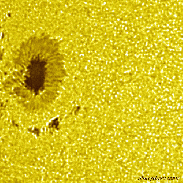 <font class="tempImageTitleThumbText">AR4498</font><br>David Wilson<br>Jul 30 2:26pm<br>Inverness, Scotland