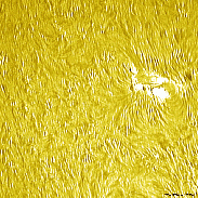 <font class="tempImageTitleThumbText">AR4507&8</font><br>David Wilson<br>Aug 12 7:24pm<br>Inverness, Scotland