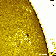 <font class="tempImageTitleThumbText">AR4507</font><br>David Wilson<br>Aug 19 1:55pm<br>Inverness, Scotland