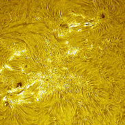 <font class="tempImageTitleThumbText">AR4513</font><br>David Wilson<br>Aug 25 9:28am<br>Inverness, Scotland