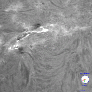 <font class="tempImageTitleThumbText">AR4513 Smoker</font><br>David Wilson<br>Aug 25 7:37pm<br>Inverness, Scotland