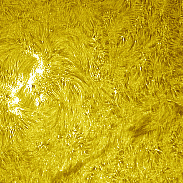 <font class="tempImageTitleThumbText">AR4520</font><br>David Wilson<br>Sep 2 12:48pm<br>Inverness, Scotland