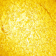 <font class="tempImageTitleThumbText">AR4521</font><br>David Wilson<br>Sep 1 7:13pm<br>Inverness, Scotland