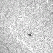 <font class="tempImageTitleThumbText">AR4526</font><br>David Wilson<br>Sep 7 6:27pm<br>Inverness, Scotland