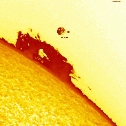 <font class="tempImageTitleThumbText">Prominence</font><br>David Wilson<br>Sep 7 1:54pm<br>Inverness, Scotland