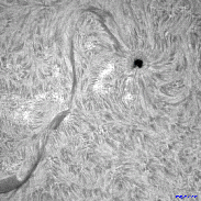 <font class="tempImageTitleThumbText">400,000km Filament</font><br>David Wilson<br>Sep 12 6:53pm<br>Inverness, Scotland