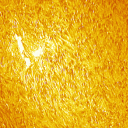 <font class="tempImageTitleThumbText">Prominence</font><br>David Wilson<br>Oct 3 12:37pm<br>Inverness, Scotland