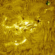 <font class="tempImageTitleThumbText">AR4556 Flare</font><br>David Wilson<br>Oct 18 10:17am<br>Inverness, Scotland