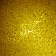 <font class="tempImageTitleThumbText">AR4513</font><br>David Wilson<br>Aug 27 10:29am<br>Inverness, Scotland