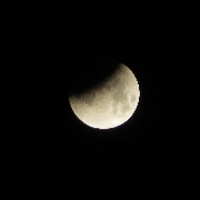 <font class="tempImageTitleThumbText">Blue Blood Moon Lunar Eclipse</font><br>Deborah Springman<br>Jan 31 2:59pm<br>Brookings, South Dakota, USA